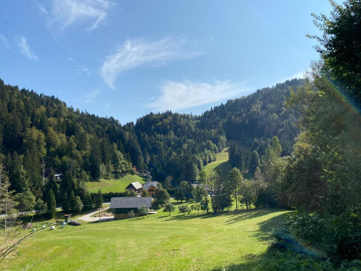 Apartma Jure Zgornje Gorje Bagian luar foto