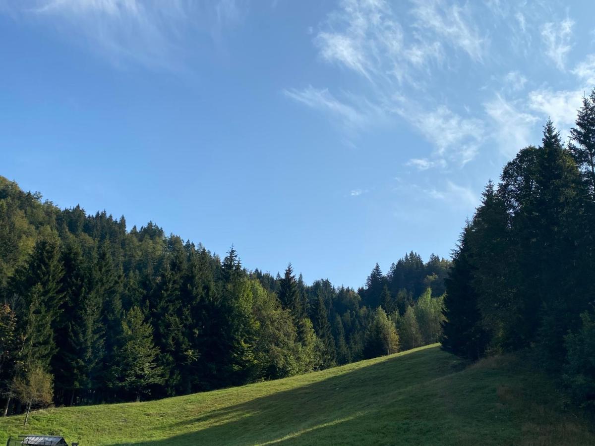 Apartma Jure Zgornje Gorje Bagian luar foto