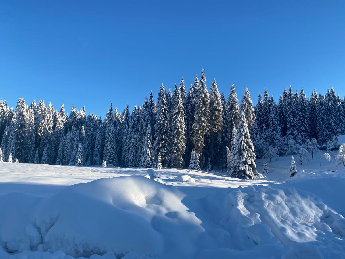 Apartma Jure Zgornje Gorje Bagian luar foto